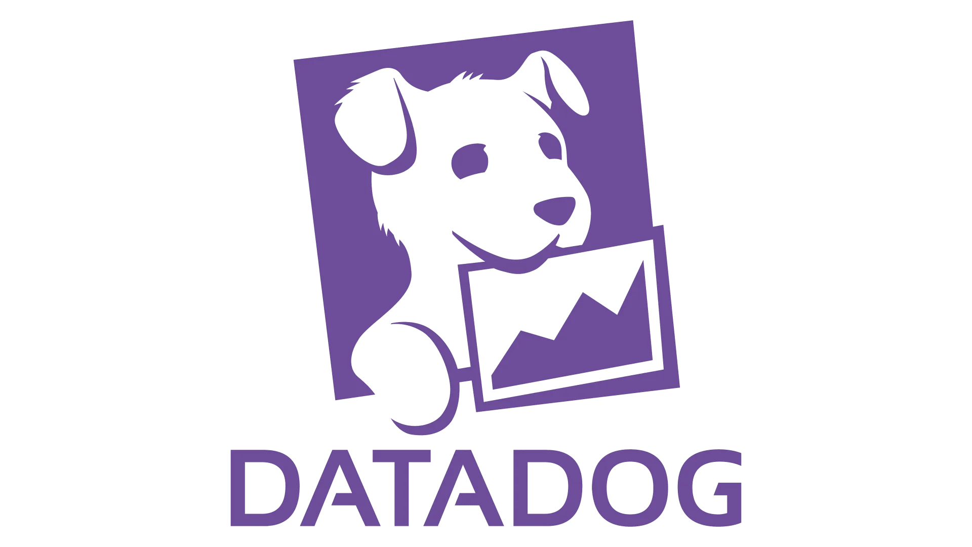Datadog, monitoring and analytics